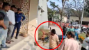 নাটোরে ওসির সামনেই ইজারাদারের কাছে চাঁদা চাইলেন যুবদল নেতা