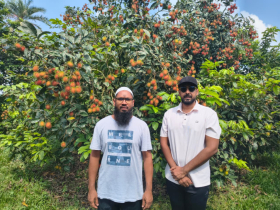 ভালুকায় চাচা-ভাতিজার উদ্যোগে রামবুটান চাষ, সম্ভাবনার নতুন অধ্যায়
