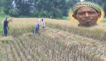 বর্গা চাষে সফলতার নতুন গল্প বুনেছেন মোহাম্মদ হোসেন