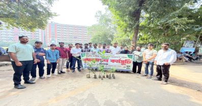 তিতুমীর কলেজে চাঁদপুর ছাত্রকল্যাণের সভা ও বৃক্ষরোপণ