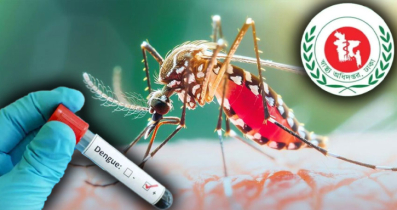 দেশে ডেঙ্গুতে আরও ৪ মৃত্যু, চলতি বছরে প্রাণহানি ৩৫২
