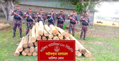 বাঘাইছড়িতে ৩ লাখ টাকার অবৈধ কাঠ উদ্ধার করেছে বিজিবি