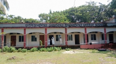 মাদ্রাসায় অনুপস্থিত থেকেও শিক্ষিকার হাজিরায় উপস্থিত, তোলেন বেতনও!