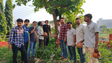 পাবিপ্রবিতে পাখিদের নিরাপদ আবাসস্থল তৈরি করলেন ছাত্রদল নেতা