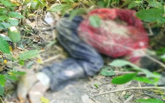 জঙ্গলে মিলল হাত-পা বাঁধা অটোরিকশা চালকের মরদেহ