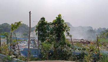 নড়াইলে বর্জ্য ব্যবস্থাপনায় নেই পরিকল্পনা, দূষিত হচ্ছে চিত্রা নদী