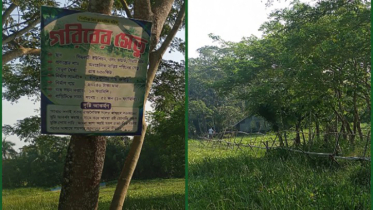 নলছিটিতে গরিবের সেতু! দেখার যেন কেউ নেই