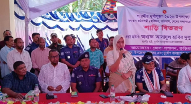 দেড় মিনিটে মন্ত্রীকে ৩৫ বার ‘স্যার’ সম্বোধন ইউএনও তানজিলার