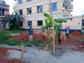 মোকামতলায় আদালতের নির্দেশ অমান্য করে গাছ লাগানোর অভিযোগ