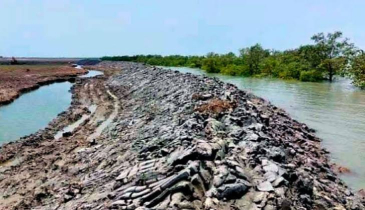 চকরিয়ায় প্যারাবন উজাড় করে চিংড়িঘের তৈরির হিড়িক
