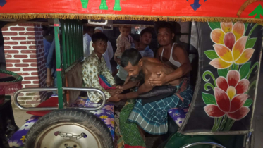 বাংলাদেশ সীমান্তে ভারতীয় বাঘের আক্রমণে আহত ৩