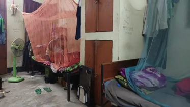 পাবিপ্রবিতে মশার উপদ্রবে অতিষ্ঠ শিক্ষার্থীরা