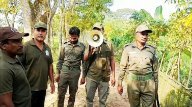 বাগেরহাটে লোকালয়ে বাঘের পায়ের ছাপ আতংকে রাত জেগে পাহারা