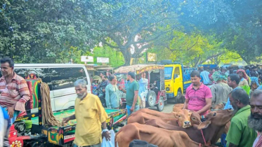 চুয়াডাঙ্গার ডুগডুগি পশুহাটে জমজমাট বেচাকেনা, ক্রেতা-বিক্রেতার ভিড়