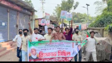 নেছারাবাদে নিষিদ্ধ সংগঠন ছাত্রলীগের ঝটিকা মিছিল, আটক ২