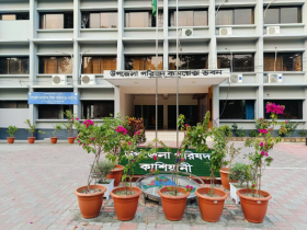দীর্ঘদিনের অপেক্ষার অবসান, পৌরসভা হওয়ার পথে কাশিয়ানী