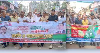 নেছারাবাদে যুবদলের প্রতিষ্ঠাবার্ষিকীতে পৃথক র‍্যালি ও সমাবেশ