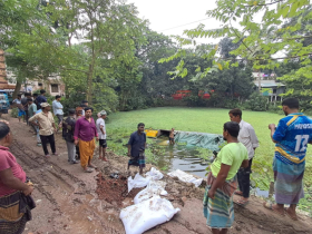 মির্জাপুরে ৩০০ বস্তা সারভর্তি ট্রাক পুকুরে, ক্ষতি ৪ লাখ টাকা