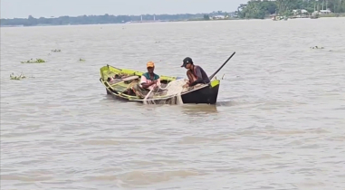 নিষেধাজ্ঞা শেষে নদীতে ইলিশের আকাল, দুশ্চিন্তায় হাজারো জেলে