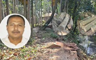 রায়পুরে সরকারি জমির গাছ বিক্রি করলেন কর্মকর্তা