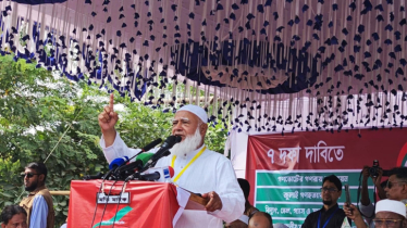 জনগণ ভোট দিয়েছে সরকার সেই রায় মানে না: ডা. শফিকুর রহমান