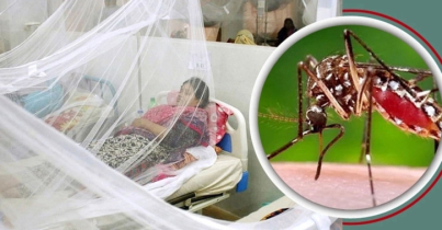 ডেঙ্গুতে আরও ৫ মৃত্যু, হাসপাতালে ভর্তি ১,৯৩৫জন