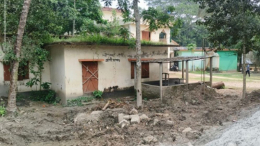 চাঁদপাশা ইউনিয়ন প্রাণী সম্পদ ভবনটি অবহেলায় ধ্বংসের পথে