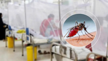 ডেঙ্গুতে আরও ৬ মৃত্যু, ২৪ ঘণ্টায় আক্রান্ত ২ হাজার ৮৯ জন