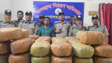 ব্রাহ্মণবাড়িয়ায় গাঁজাসহ এক মাদক কারবারি গ্রেপ্তার