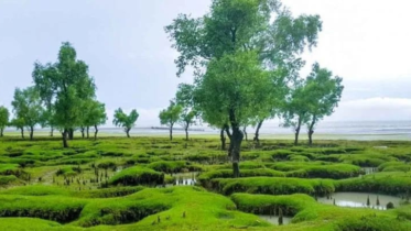 সীতাকুণ্ডে জোয়ারের পানিতে ভেসে এলো শিশুর অর্ধগলিত মরদেহ