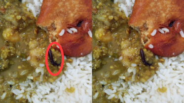 পাবিপ্রবির সেন্ট্রাল ক্যাফেটারিয়ার খাবারে মিলল কেড়া পোকা!