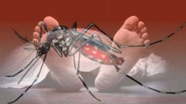 ডেঙ্গুতে আরও ৫ মৃত্যু, একদিনে ভর্তি ১,৪৮৪