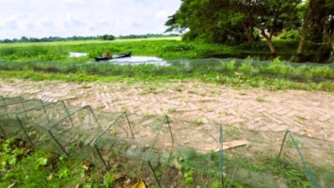 জনবল সংকট, অভিযানে হিমশিম খাচ্ছে মৎস্য অধিদপ্তর