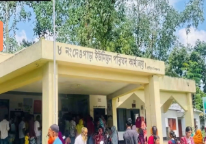 ঘাটাইলে নেশাজাতীয় দ্রব্য খাইয়ে চুরি, আটক ১