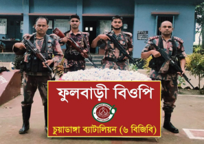চুয়াডাঙ্গা সীমান্তে বিজিবির অভিযানে অবৈধ মালামাল জব্দ
