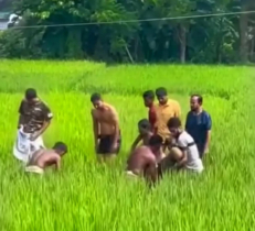 ভালুকায় বিদ্যুতের ছেঁড়া তারে জড়িয়ে দুই চাচাতো ভাইয়ের মৃত্যু