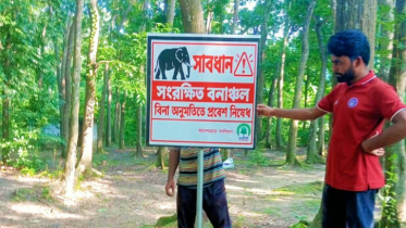 কাপ্তাইয়ের সংরক্ষিত বনে যেতে পারবেন না পর্যটকরা