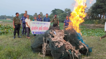 দুর্গাপুরে ১ হাজার মিটার নিষিদ্ধ চায়না জাল ধ্বংস