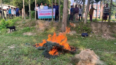তাড়াইলে নিষিদ্ধ জাল আটক, প্রকাশ্যে পুড়িয়ে ধ্বংস