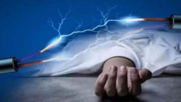 বিদ্যুৎস্পৃষ্ট হয়ে নারিকেল গাছে আটকে থাকা কৃষককের মৃত্যু